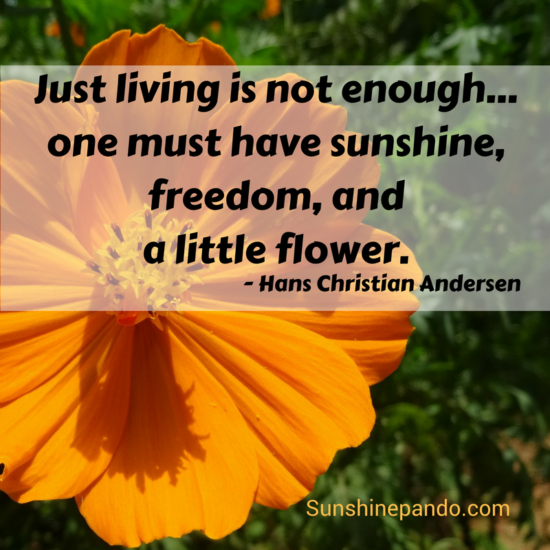 One must have sunshine, freedom and a little flower - Hans Christian Andersen - Sunshine Prosthetics and Orthotics