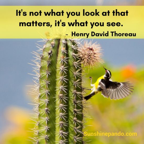 It's not what you look at, it's what you see - Sunshine Prosthetics and Orthotics
