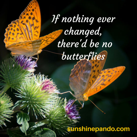 no butterflies without change  - sunshine prosthetics and orthotics